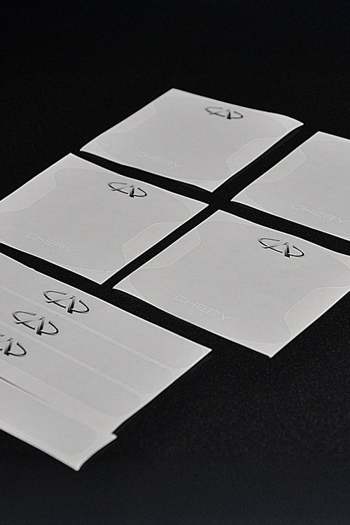 CHERY UYUMLU PPF KAPI KOLU ÇİZİK ÖNLEYİCİ FOLYO 8'Lİ SET