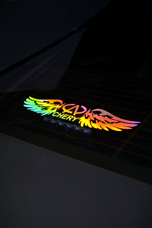 CHERY Uyumlu Hologram Kanat Logo Sticker Çıkartma Oto Aksesuar Araba