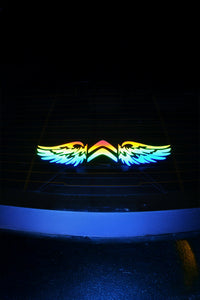 CİTROEN Uyumlu Hologram Kanat Logo Sticker Çıkartma Oto Aksesuar Araba