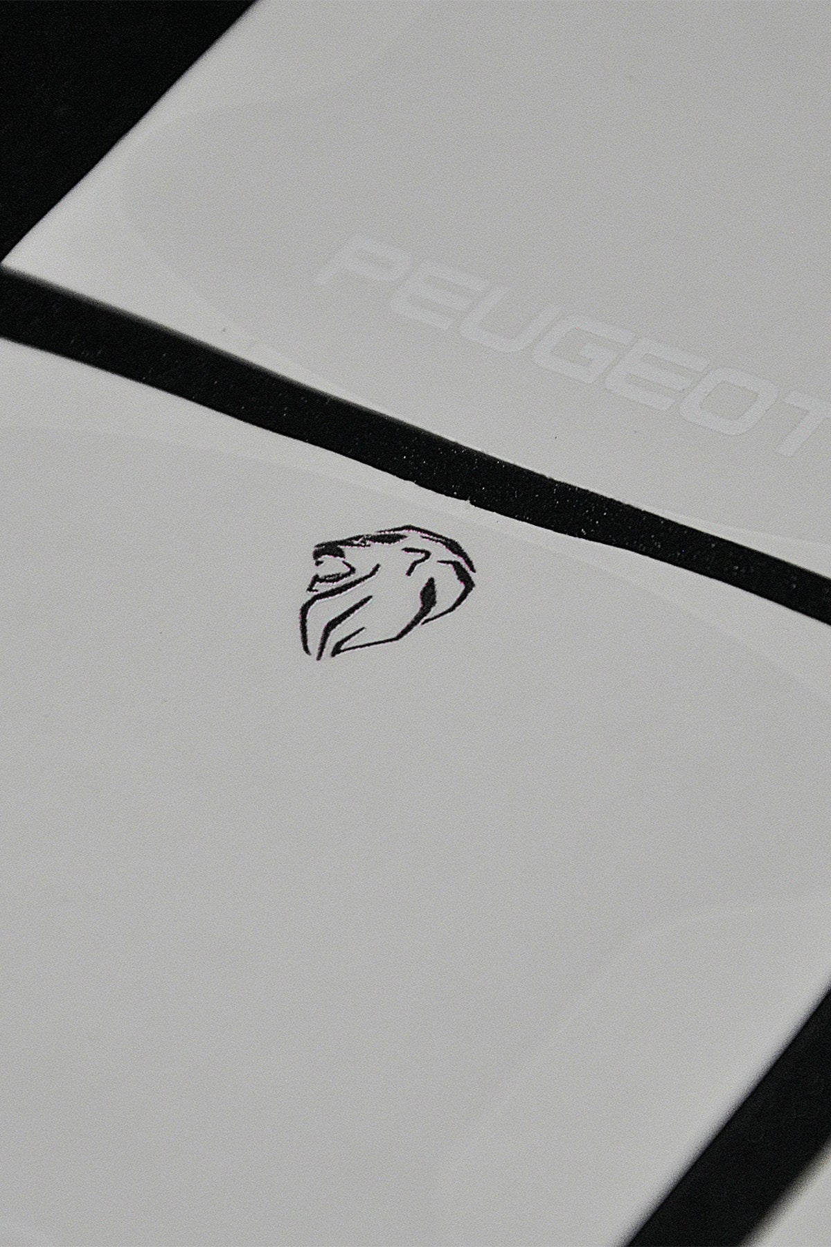 PEUGOET UYUMLU PPF KAPI KOLU ÇİZİK ÖNLEYİCİ FOLYO 8'Lİ SET