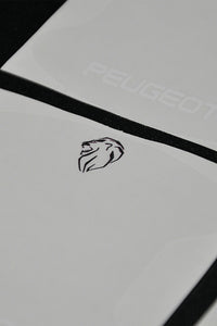 PEUGOET UYUMLU PPF KAPI KOLU ÇİZİK ÖNLEYİCİ FOLYO 8'Lİ SET