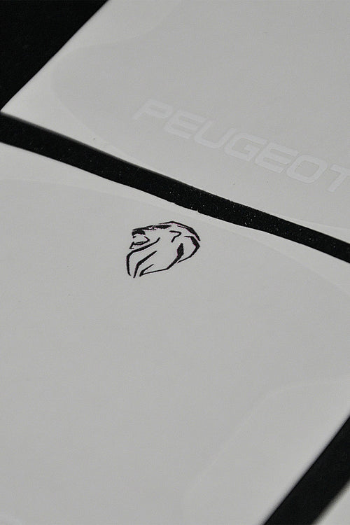 PEUGOET UYUMLU PPF KAPI KOLU ÇİZİK ÖNLEYİCİ FOLYO 8'Lİ SET